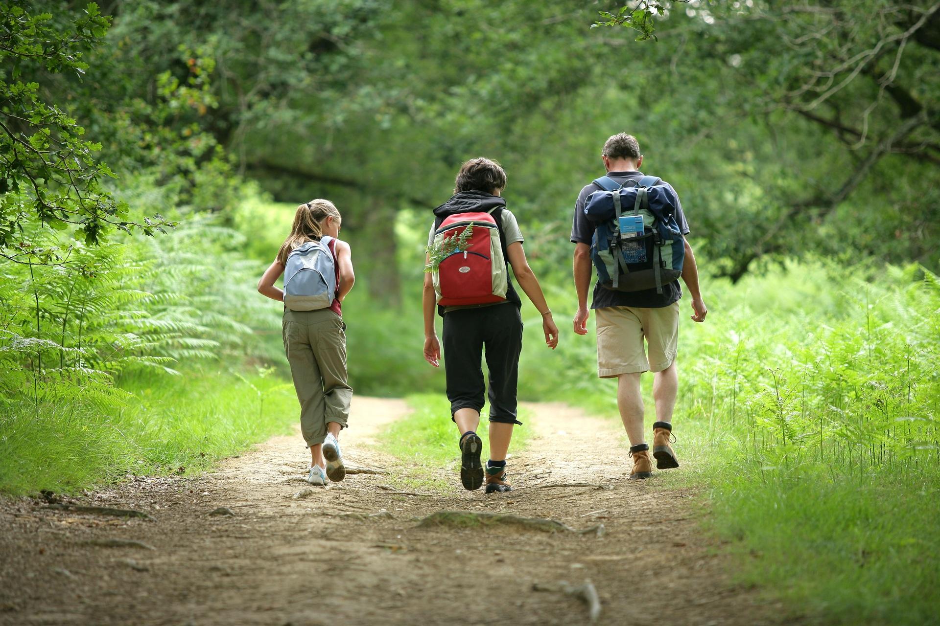 Gruppe wandert auf schattigem Waldweg | Base Liquid